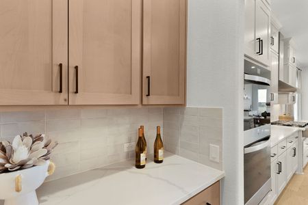 The Colony- Driscoll Bluffs by Sitterle Homes in Bastrop - image 13