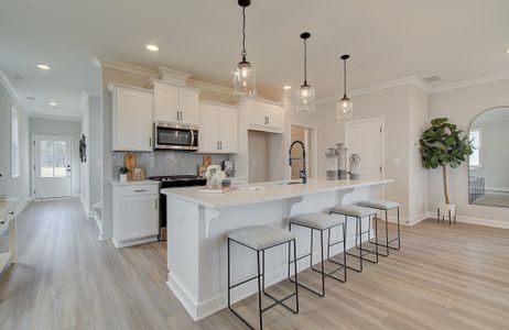 Winsome Park by Traton Homes in Woodstock - photo 8 8