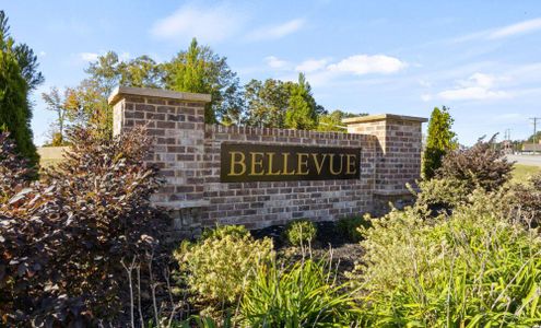 Bellevue by Eastwood Homes in Greenville - image