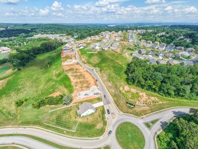 The Grove at Harrison Glen by Goodall Homes in Lenoir City - image 9