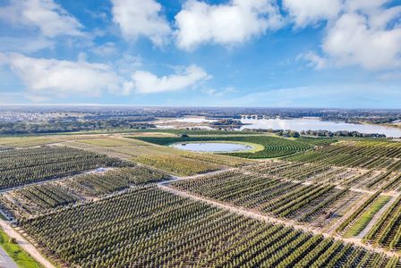 Waterstone by Lennar in Groveland - image