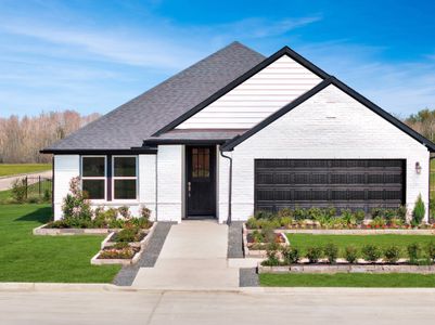 Laurel Landing by Beazer Homes in Alvin - image