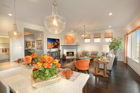 Towne Lake 70s by Drees Custom Homes in Cypress - photo 6 6
