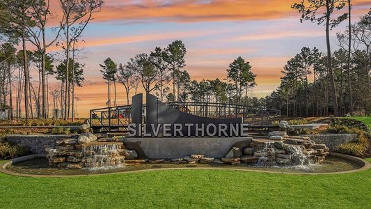 Silverthorne by D.R. Horton in Conroe - photo 34 34