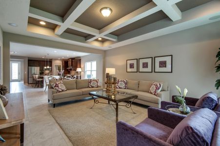 Panther Creek Preserve by Drees Custom Homes in Jacksonville - photo 13 13