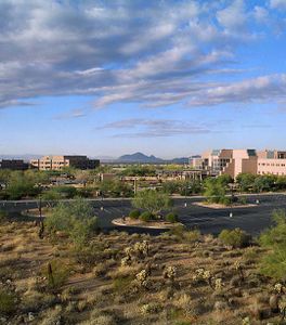 Aura by Camelot Homes in Scottsdale - photo 1 1