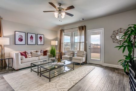 Windmill Farms by Megatel Homes in Forney - photo 4 4