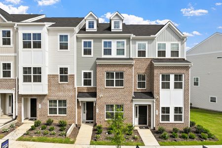 Nichols Landing by Mungo Homes in Charlotte - image 10