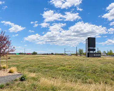 Bloom by Hartford Homes in Fort Collins - image