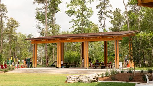 Evergreen 50' by Perry Homes in Conroe - image 14