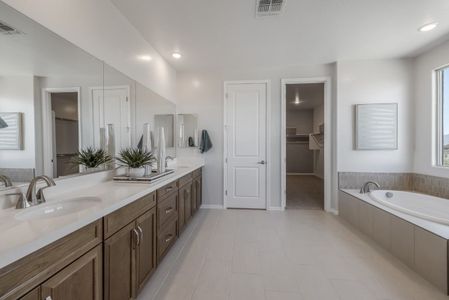 The Grove at El Cidro by William Ryan Homes in Goodyear - photo 45 45