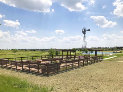 Windsong Ranch Classic 61 by Bloomfield Homes in Prosper - photo 19 19