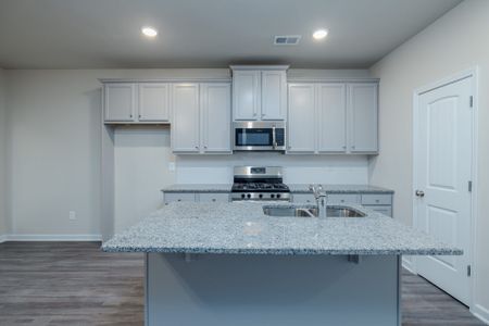 The Reserve At Clock Tower by Stephen Elliott Homes in Douglasville - photo 6 6