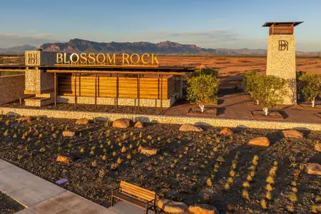 Blossom Rock by Tri Pointe Homes in Apache Junction - image