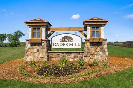 Cades Mill by Ryan Homes in Piedmont - image
