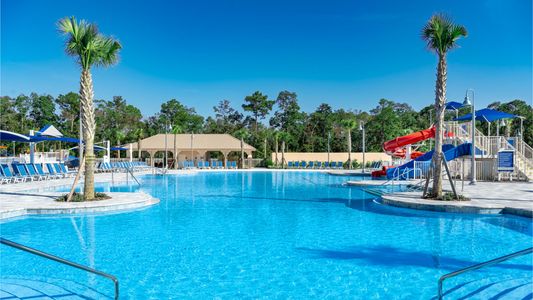 Hidden Creek at SilverLeaf 80' Series by Riverside Homes in St. Augustine - image 18