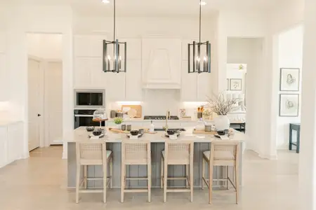 Panchasarp Farms by John Houston Homes in Burleson - image 6