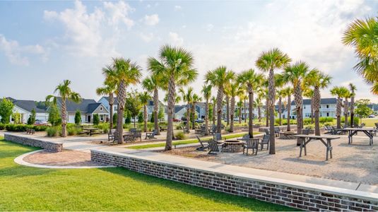 Sweetgrass at Summers Corner: Arbor Collection 35