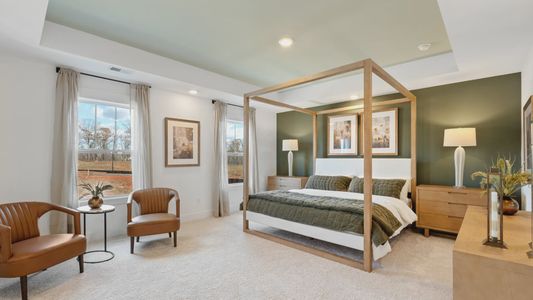 Harrier Point by DRB Homes in Woodruff - image 9