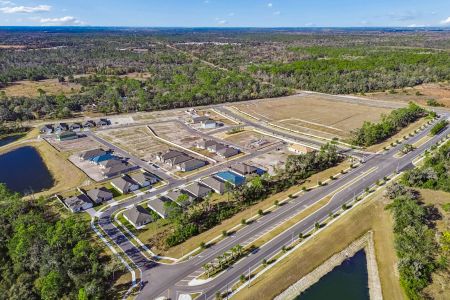 Berry Bay by M/I Homes in Wimauma - image 13