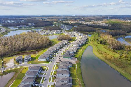 K-Bar Ranch Gilded Woods by M/I Homes in Tampa - photo 42 42