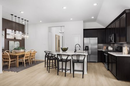 The Highlands 45' by Coventry Homes in Porter - image 6