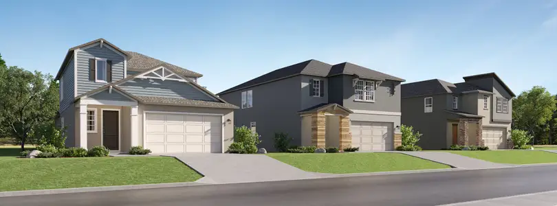 Stonegate Preserve: The Manors 1