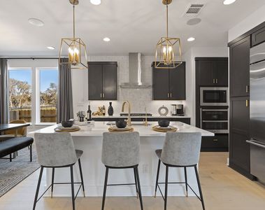 Terrace Collection at Heritage by Tri Pointe Homes in Dripping Springs - photo 11 11