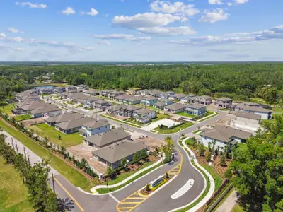 Oakstead Estates by M/I Homes in Land O' Lakes - photo 0