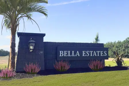 Bella Estates by Maronda Homes in Plant City - image