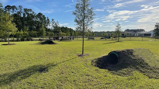 Silver Falls Single Family at SilverLeaf: Silver Falls 40s at SilverLeaf 68