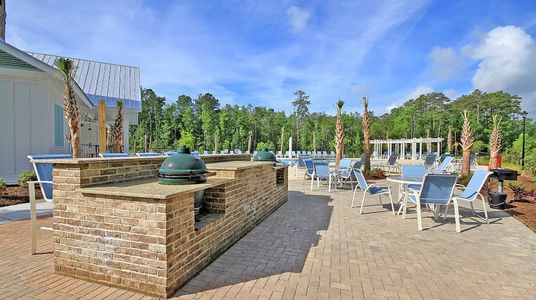 Tupelo Park: Arbor Collection 34