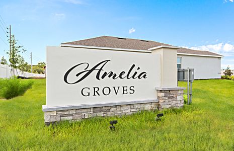 Amelia Groves by Pulte Homes in St. Cloud - photo 1 1