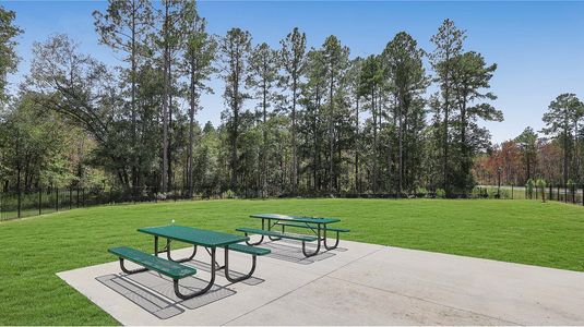 Kings Preserve by Lennar in Jacksonville - image 11