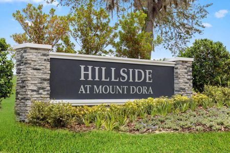 Hillside at Mount Dora by KB Home in Mount Dora - image