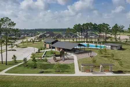Mason Woods by Tri Pointe Homes in Cypress - image