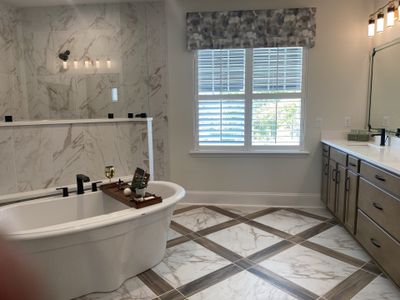Courtney Oaks in SilverLeaf by Ashley Homes, LLC in St. Augustine - image 9