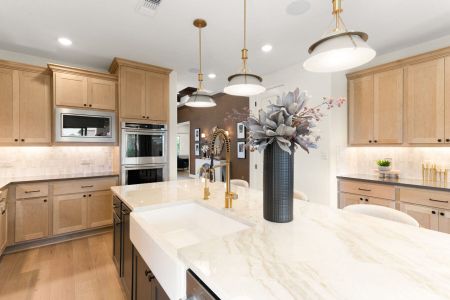 Nolte Farms by Sitterle Homes in Seguin - photo 18 18