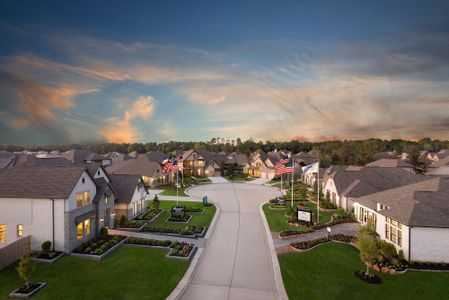 The Meadows at Imperial Oaks by David Weekley Homes in Conroe - photo 62 62