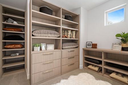 Kitchel Lake by Bridgewater Homes in Timnath - image 4