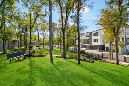 The Park at Sunridge by InTown Homes in Austin - photo 8 8