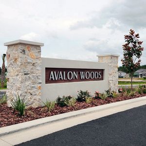 Avalon Woods by D.R. Horton in Newberry - photo 1 1