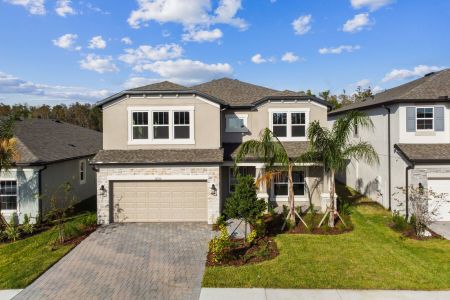 K-Bar Ranch Gilded Woods by M/I Homes in Tampa - photo 44 44