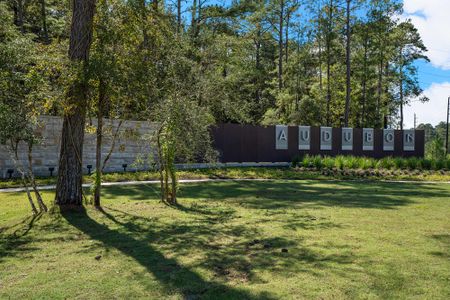 Audubon – Vision Collection by David Weekley Homes in Pinehurst - image 11