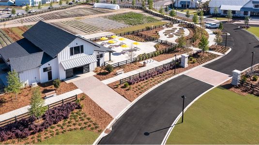 Carnes Crossroads: Coastal Collection by Lennar in Summerville - image 15