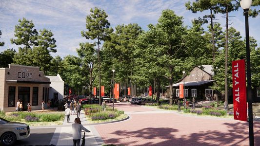 Two Step Farm 50' by Perry Homes in Montgomery - image 2