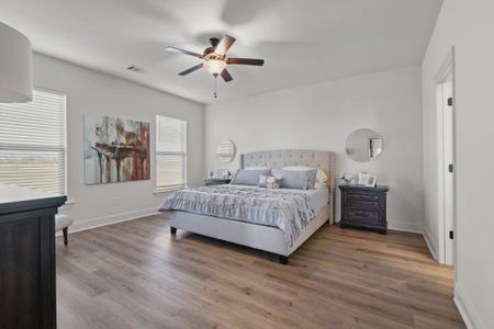 Starburst at Hammock Bay by DSLD Homes in Freeport - image 4