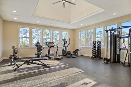 Starburst at Hammock Bay by DSLD Homes in Freeport - image 15