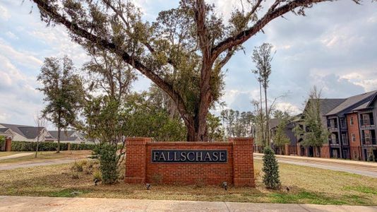 Fallschase by D.R. Horton in Tallahassee - image