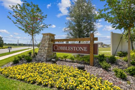 Cobblestone by M/I Homes in Zephyrhills - photo 14 14